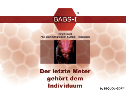 BABS-I quer 8,5x11,5cm