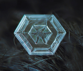 Auf dieser Aufnahme ist sehr gut die sechseckige Grundstruktur der Eiskristalle zu erkennen. Die räumliche Anordnung der Atome im Wassermolekül lässt nur ein hexagonales Kristallgitter zu.