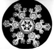 e164b99f-ec87-488c-b549-a5f289442eee