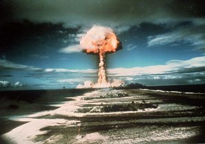 Atompilz 9891914,tid=i