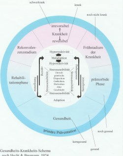 Krankheitsschema
