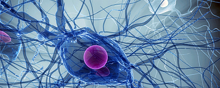 neuron_sdtop_jpg_621158